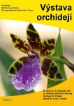 Orchideje_web.jpg