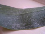 New_New_PB040053.jpg
