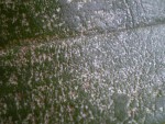 New_New_PB040056.jpg