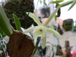 DSCN5549.JPG