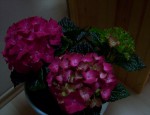 101_8591.jpg