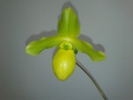 20120401_114544.jpg